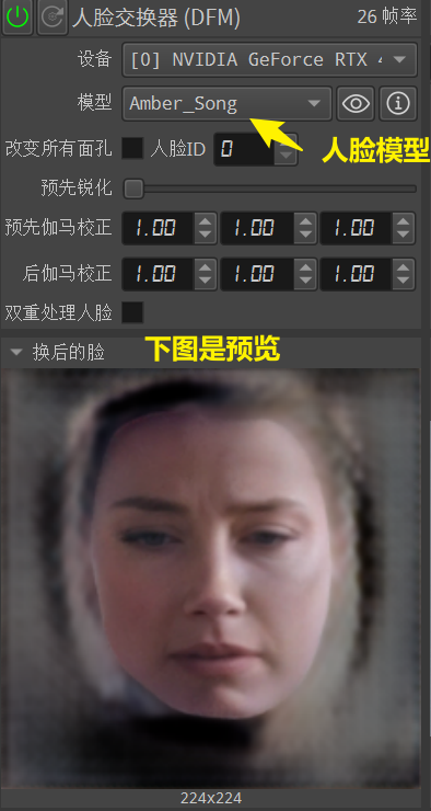 图片[7]-AI直播实时换脸工具DeepFace Live ：视频一键换脸附一键启动包下载-子青资源网